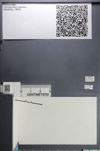 Media type: image;   Entomology 549324